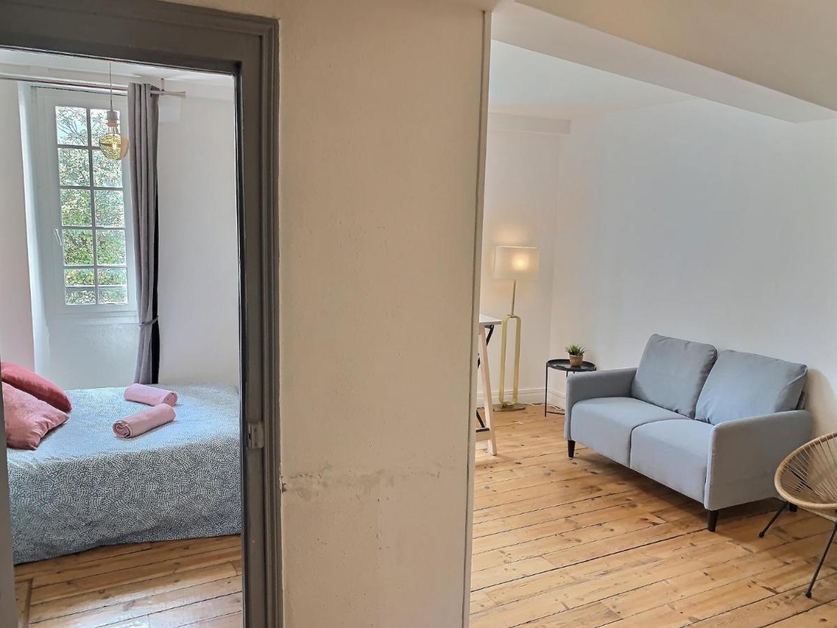 Vue Magique Sur Le Chateau Dans Un Quartier Populaire Pau Extérieur photo